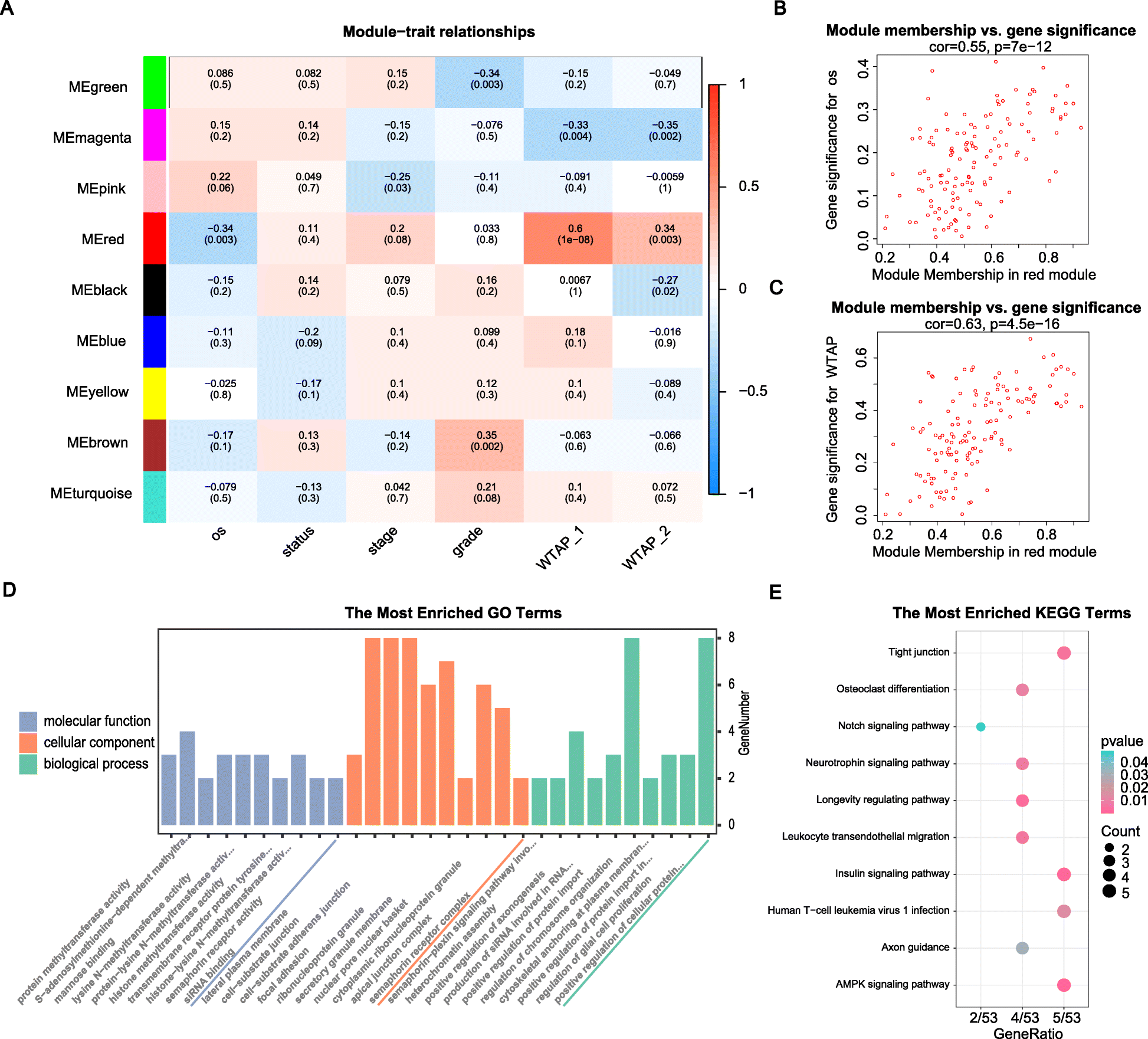 Fig. 4