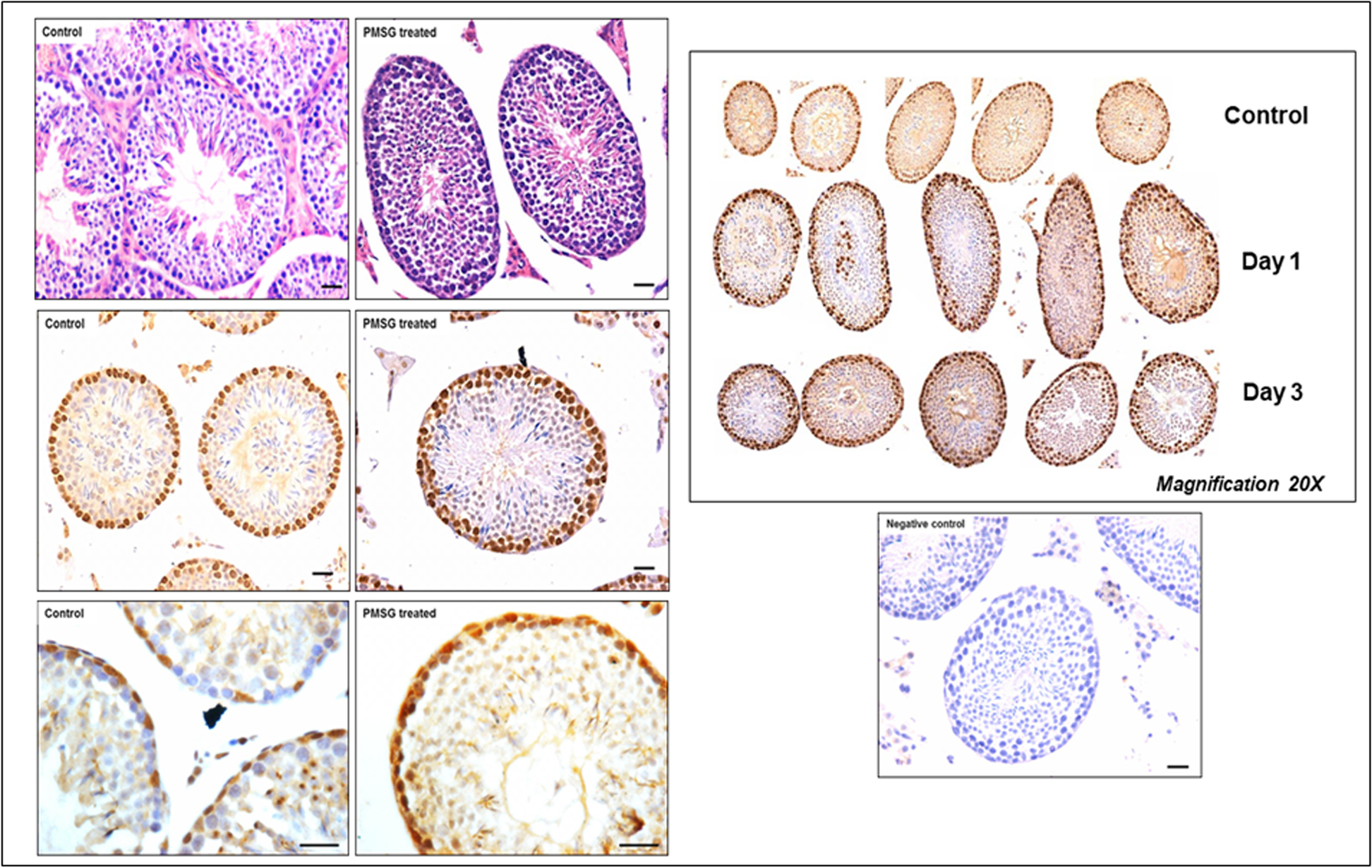 Fig. 9