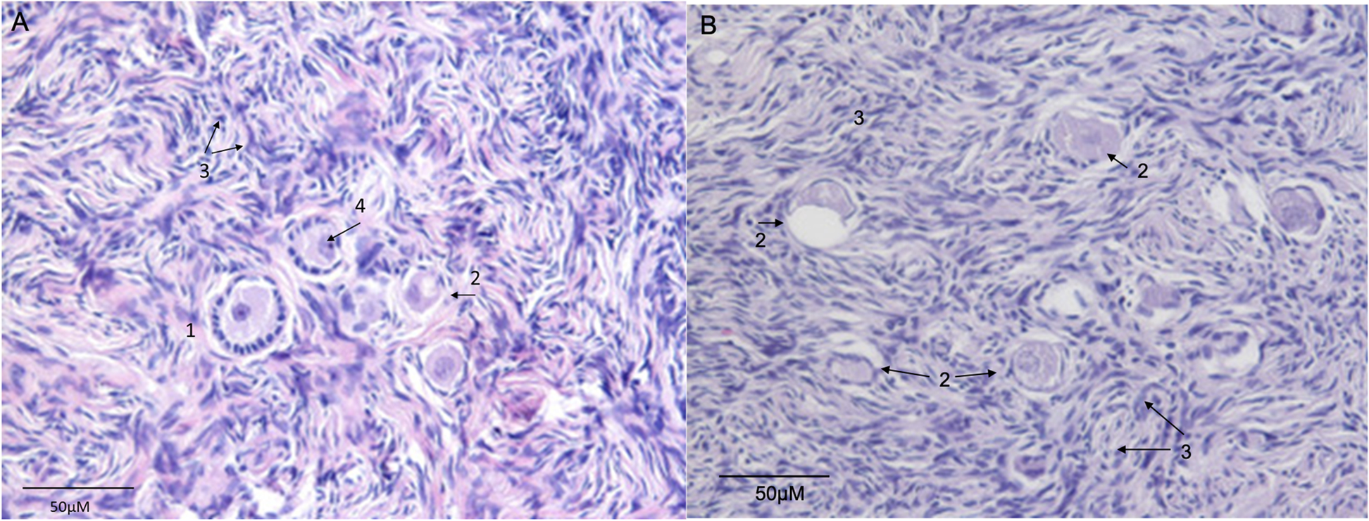 Fig. 5