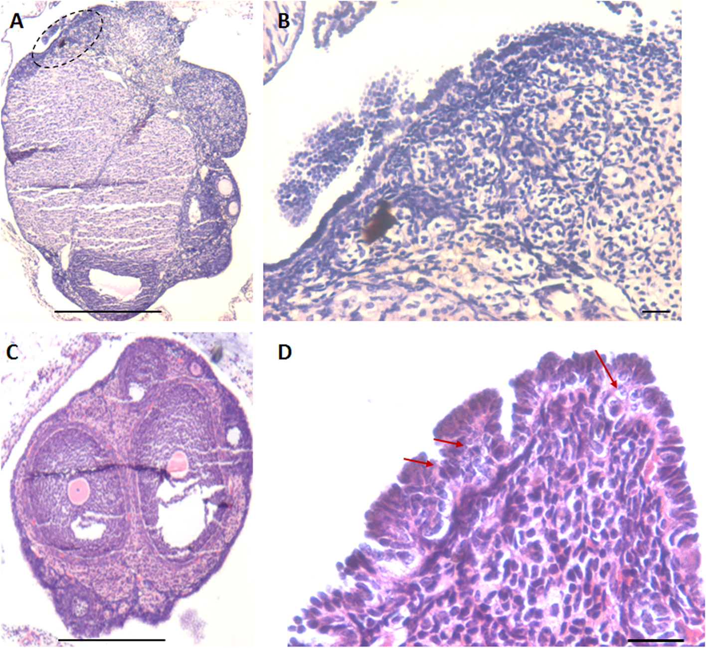 Fig. 2