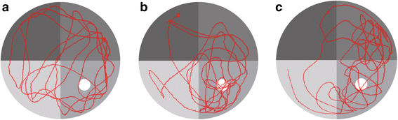 Fig. 7