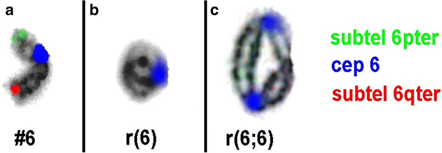 Fig. 5