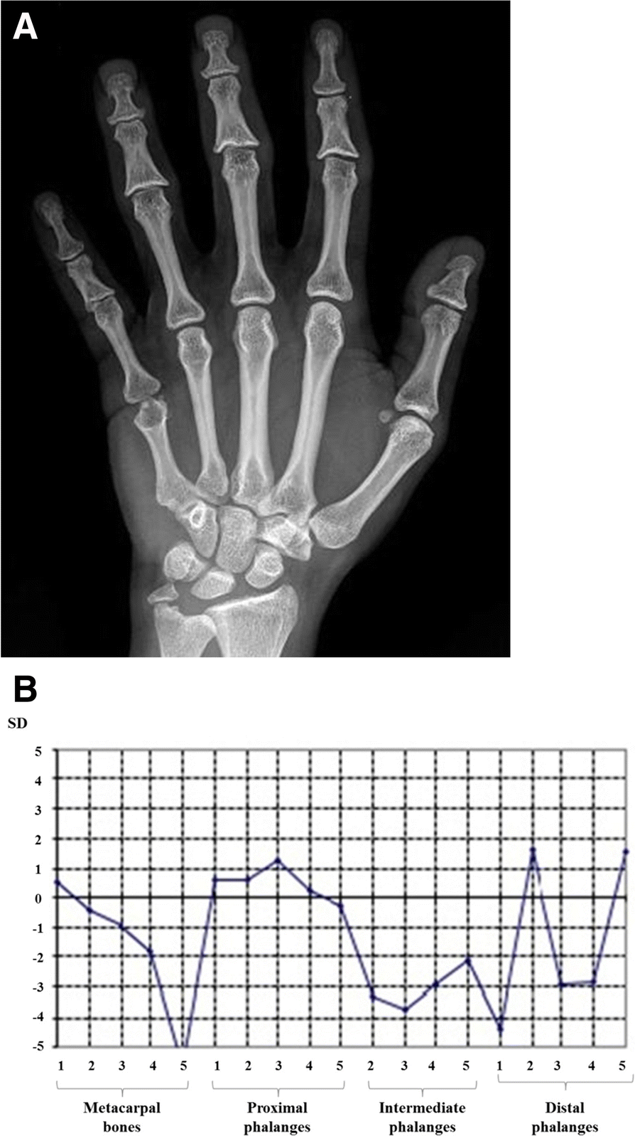 Fig. 4