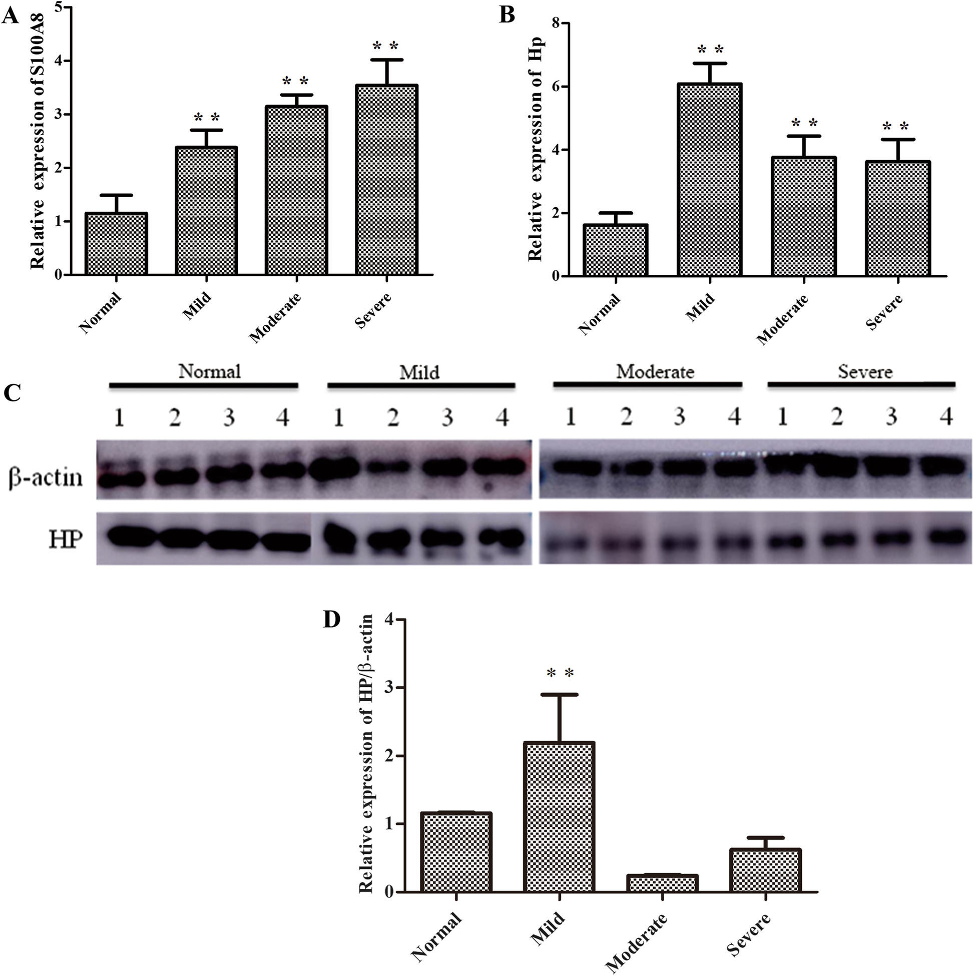 Fig. 4