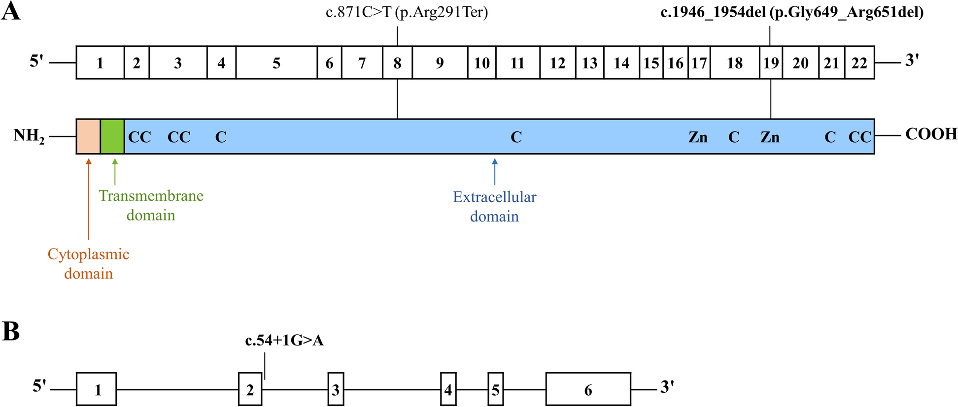 Fig. 3