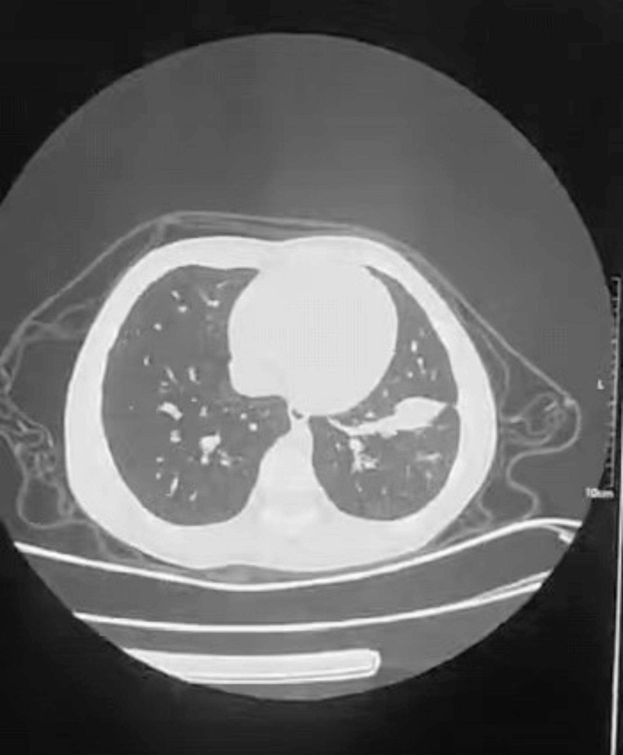 Fig. 6