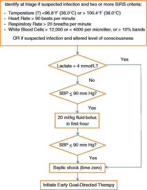 White Blood Cell Flow Chart