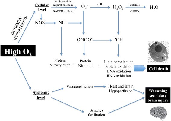 How Much Oxygen In Adult Cardiac Arrest Critical Care Full Text