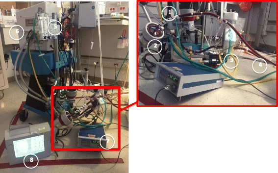 ecmo machine adult