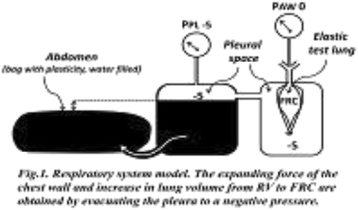 Fig. 70 (Abstract P257).
