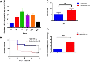 Fig. 11 (abstract P11).