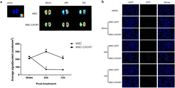 Fig. 10 (abstract P12).