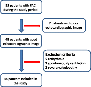 Artery Flow Chart