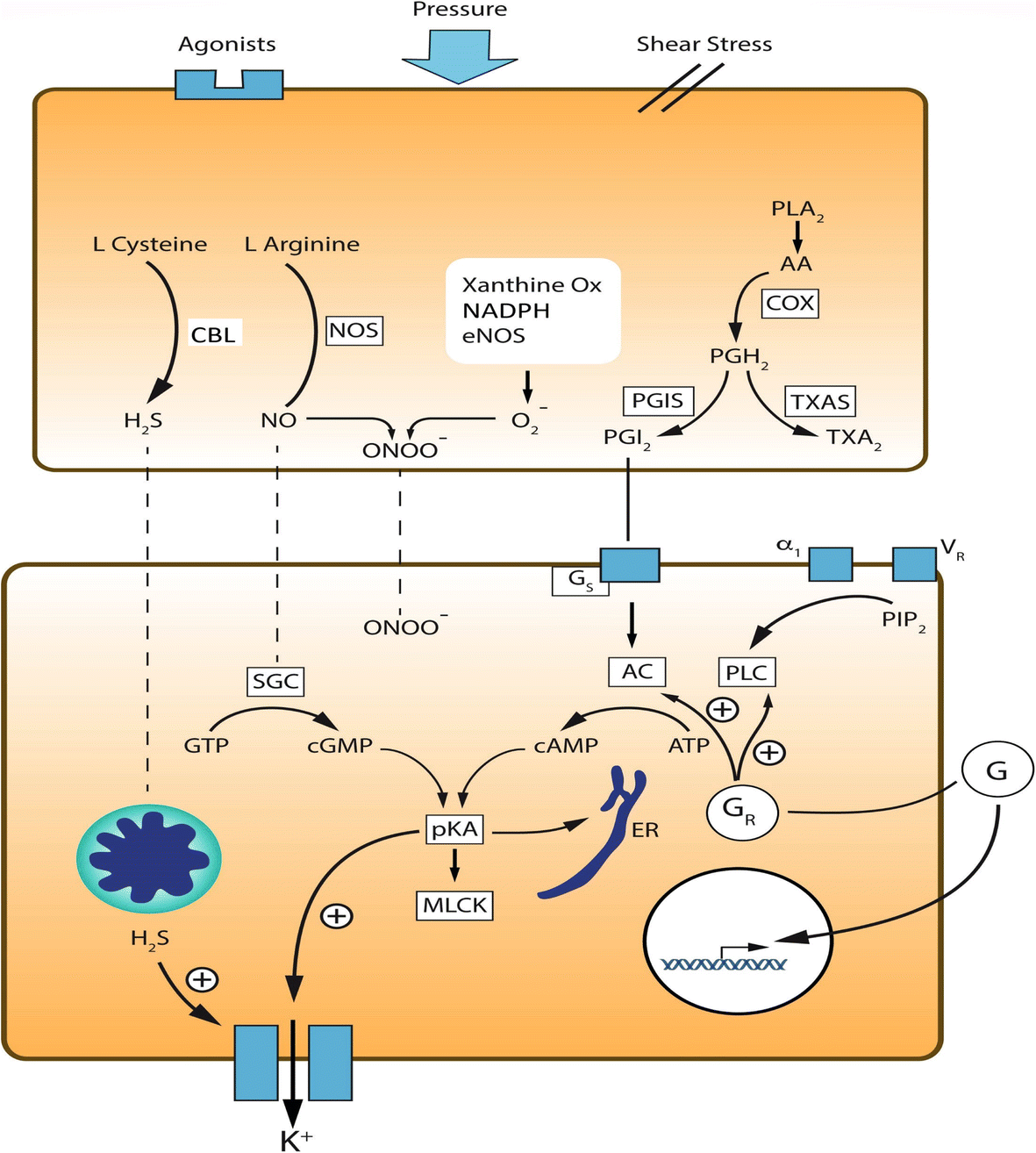 Fig. 3