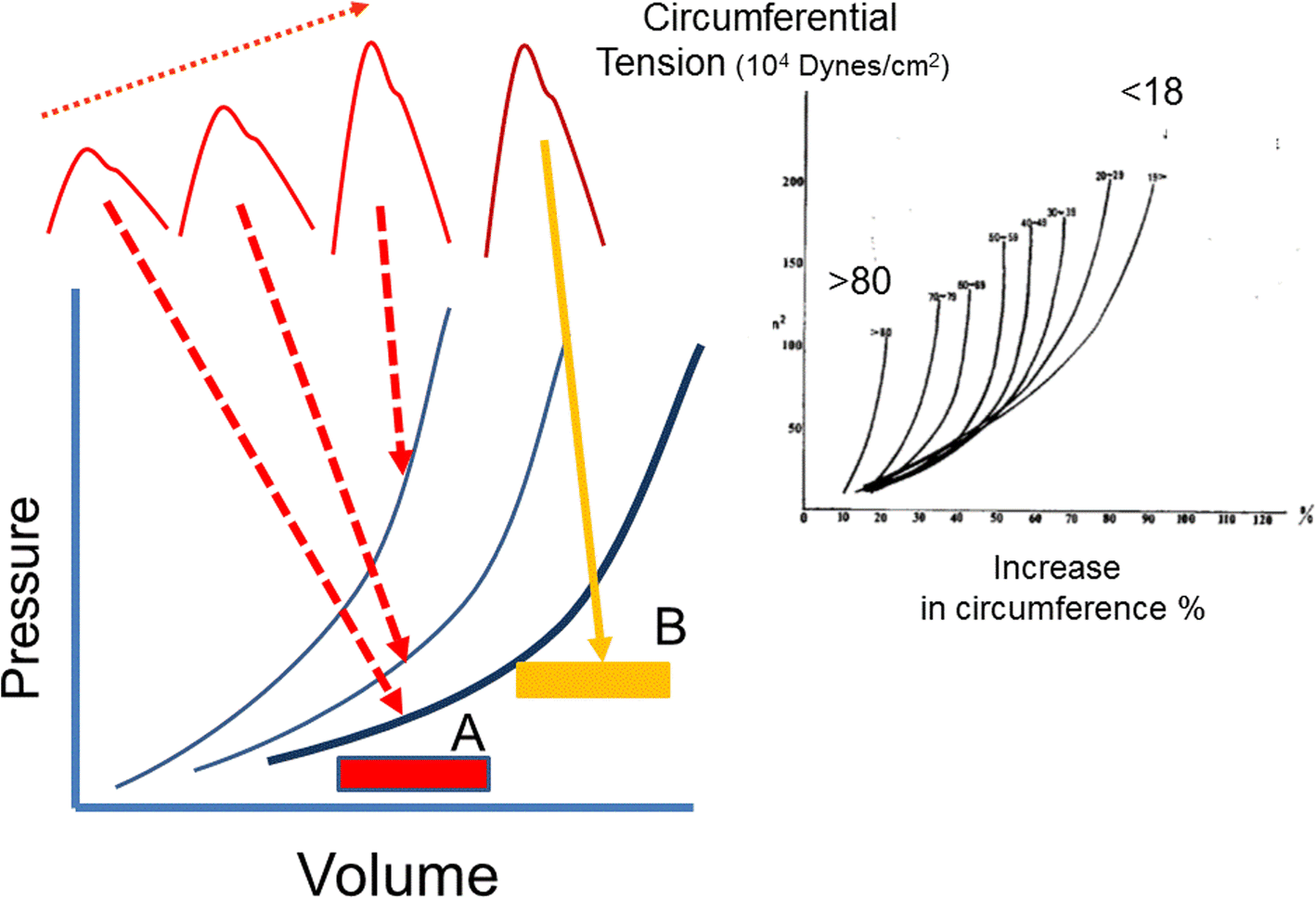 test pressure business meaning Text  Critical Care of pressure The blood   Full  meaning