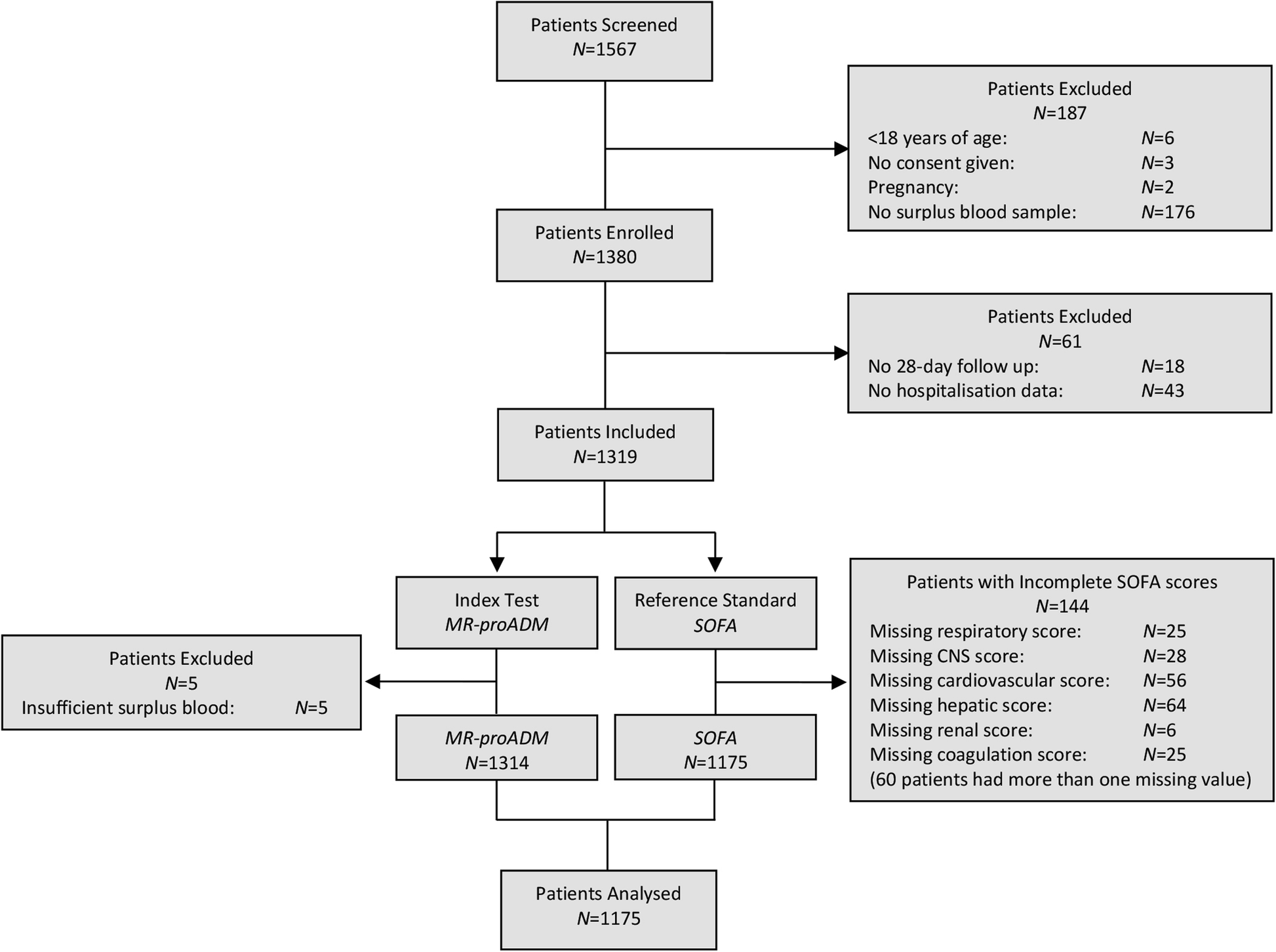 Central Nervous System Flow Chart