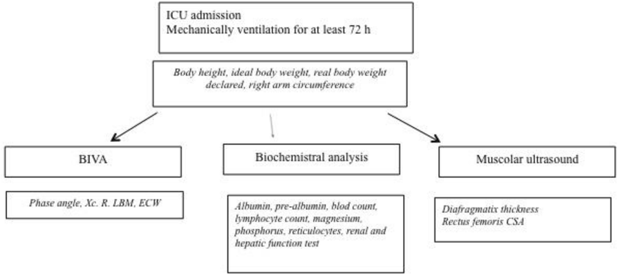 Fig. 1 (abstract P264).