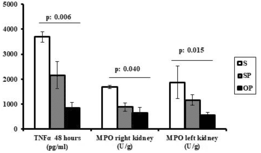 Fig. 1 (abstract P032).