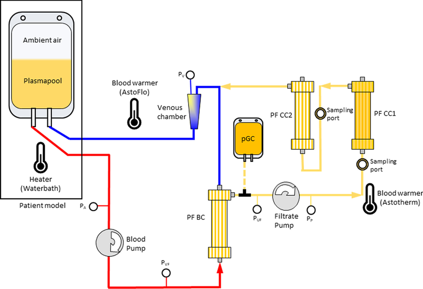 Fig. 1 (abstract P201)