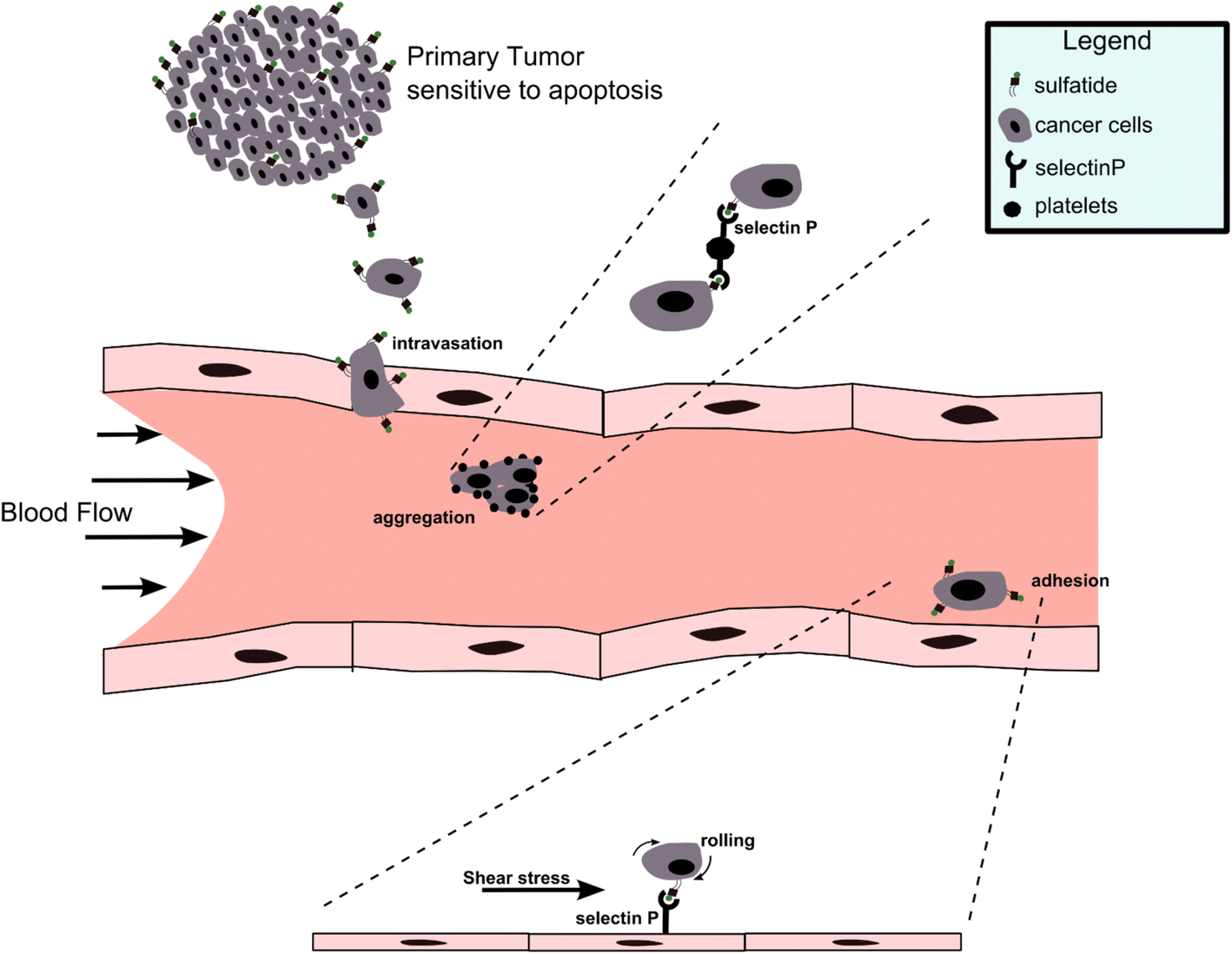 Fig. 8