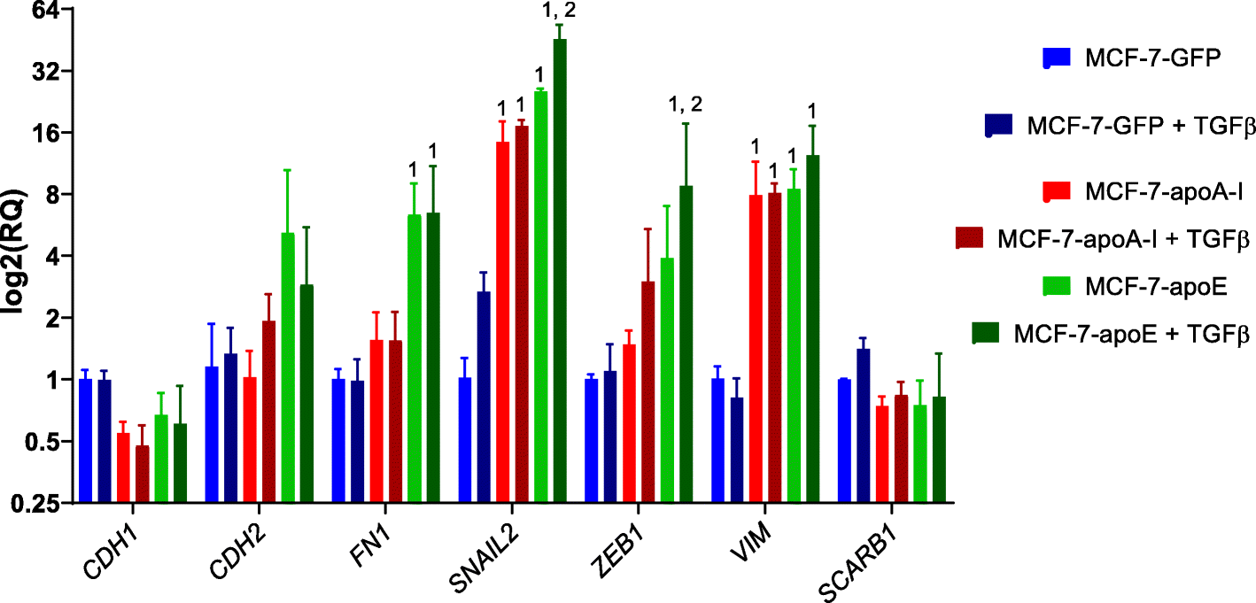 Fig. 8