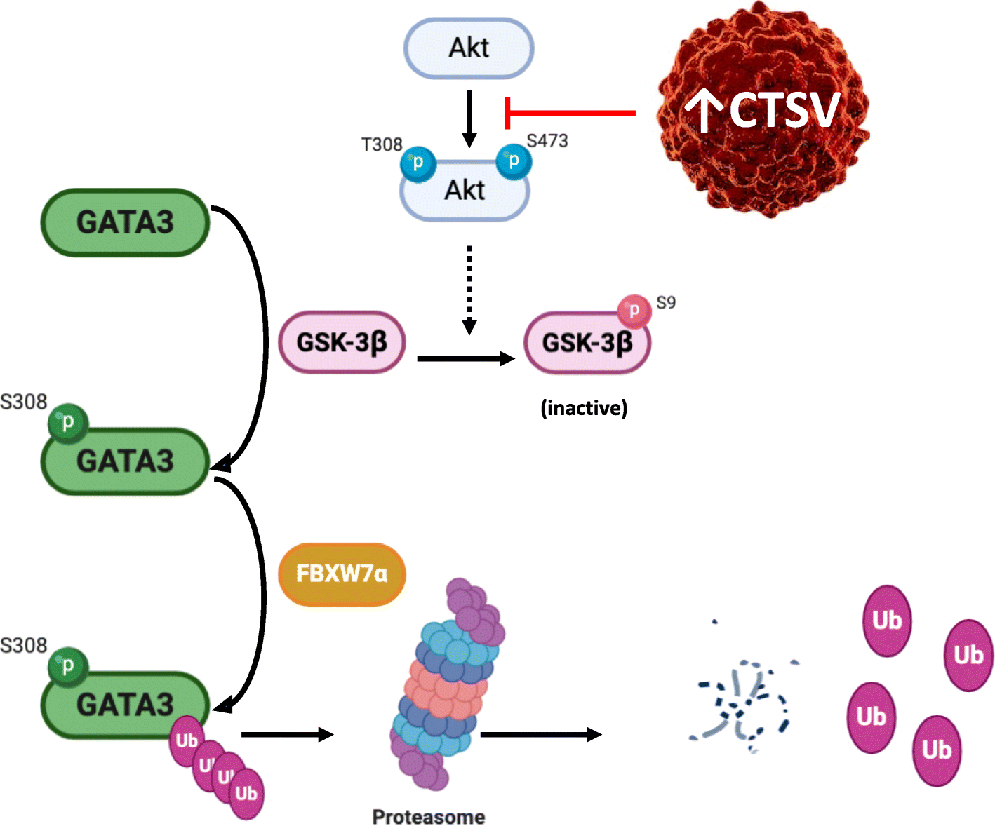 Fig. 6