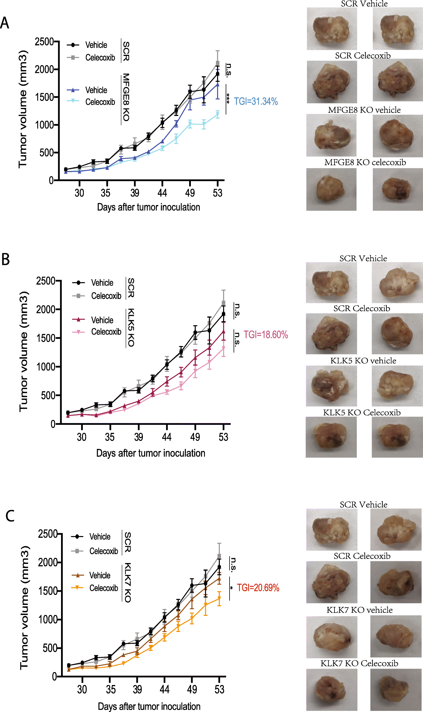 Fig. 7