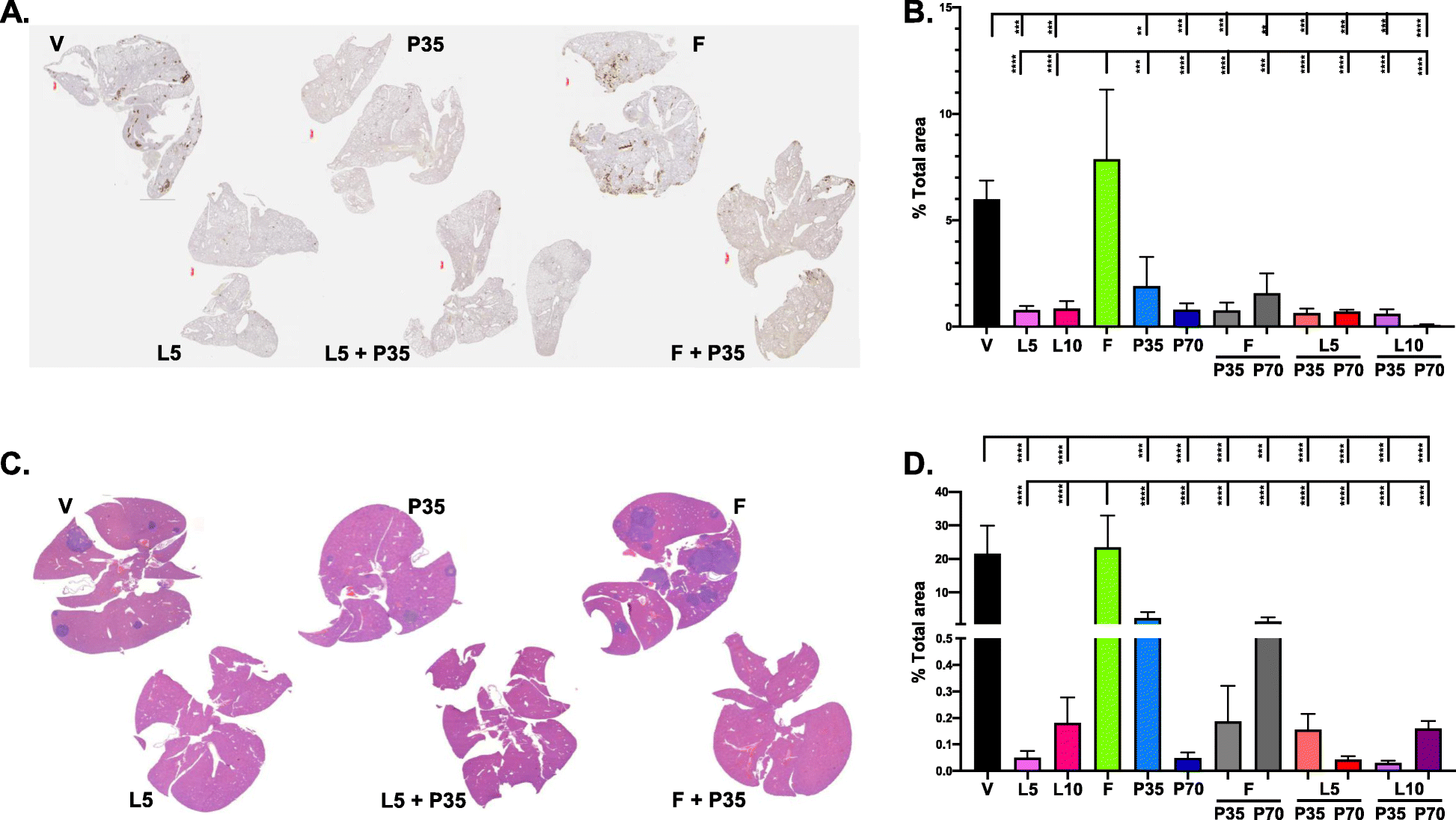 Fig. 5