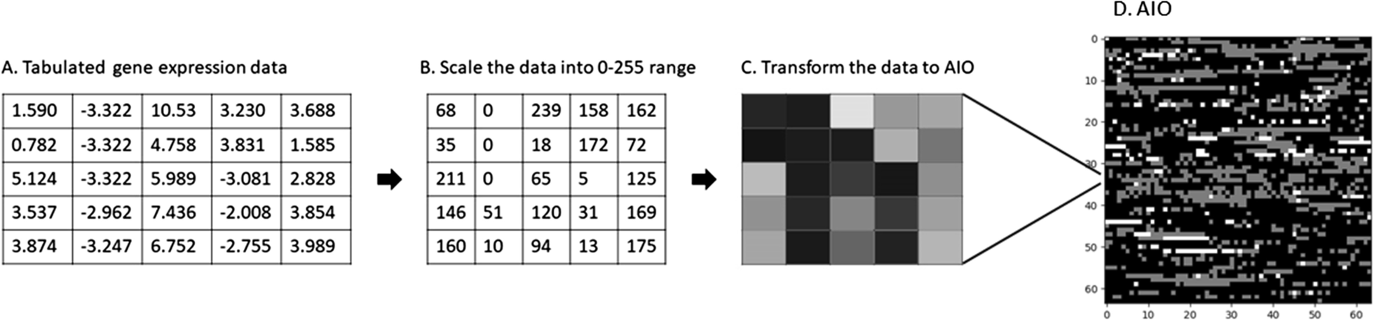 Fig. 1