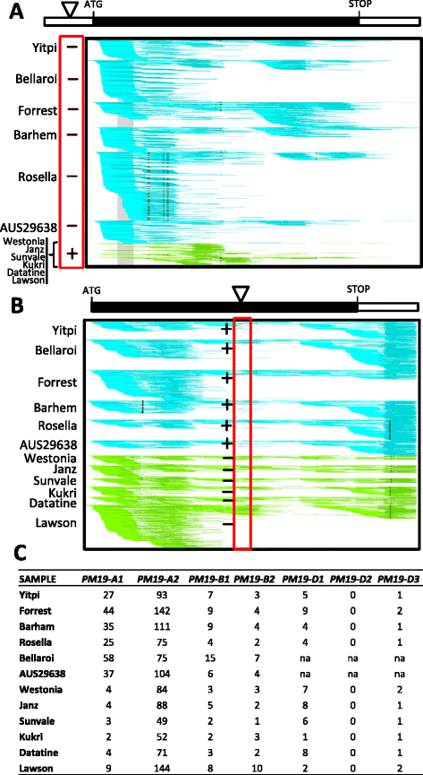 Fig. 8