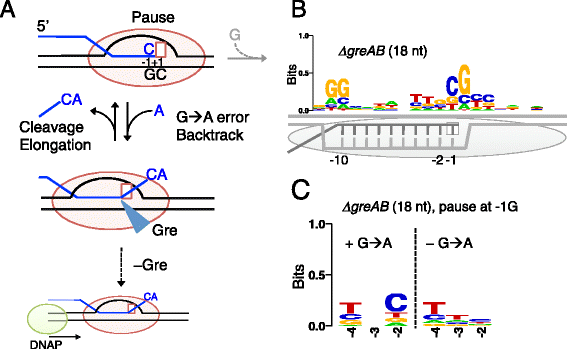 Fig. 7