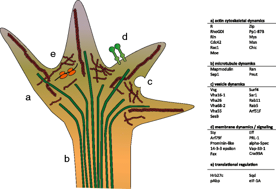 Fig. 6