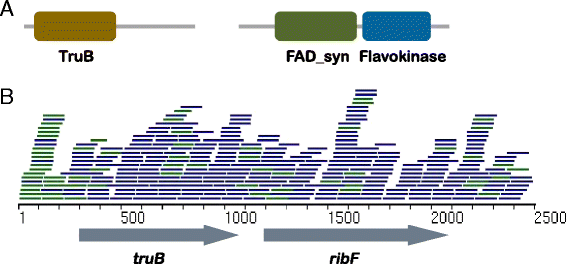 Fig. 7