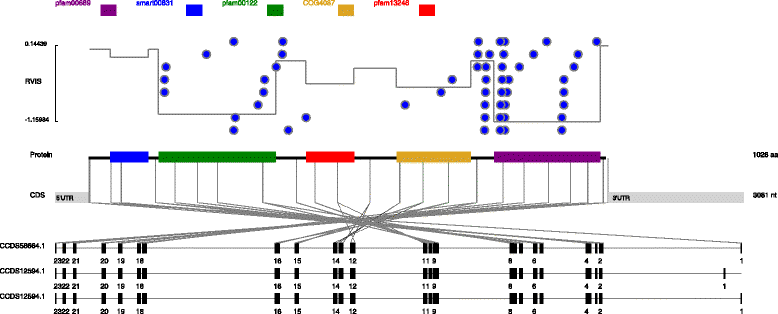 Fig. 1