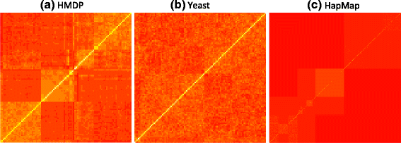 Fig. 10