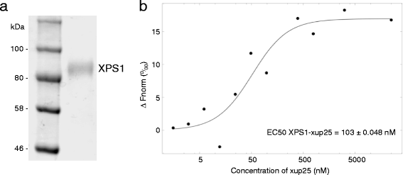 Fig. 8