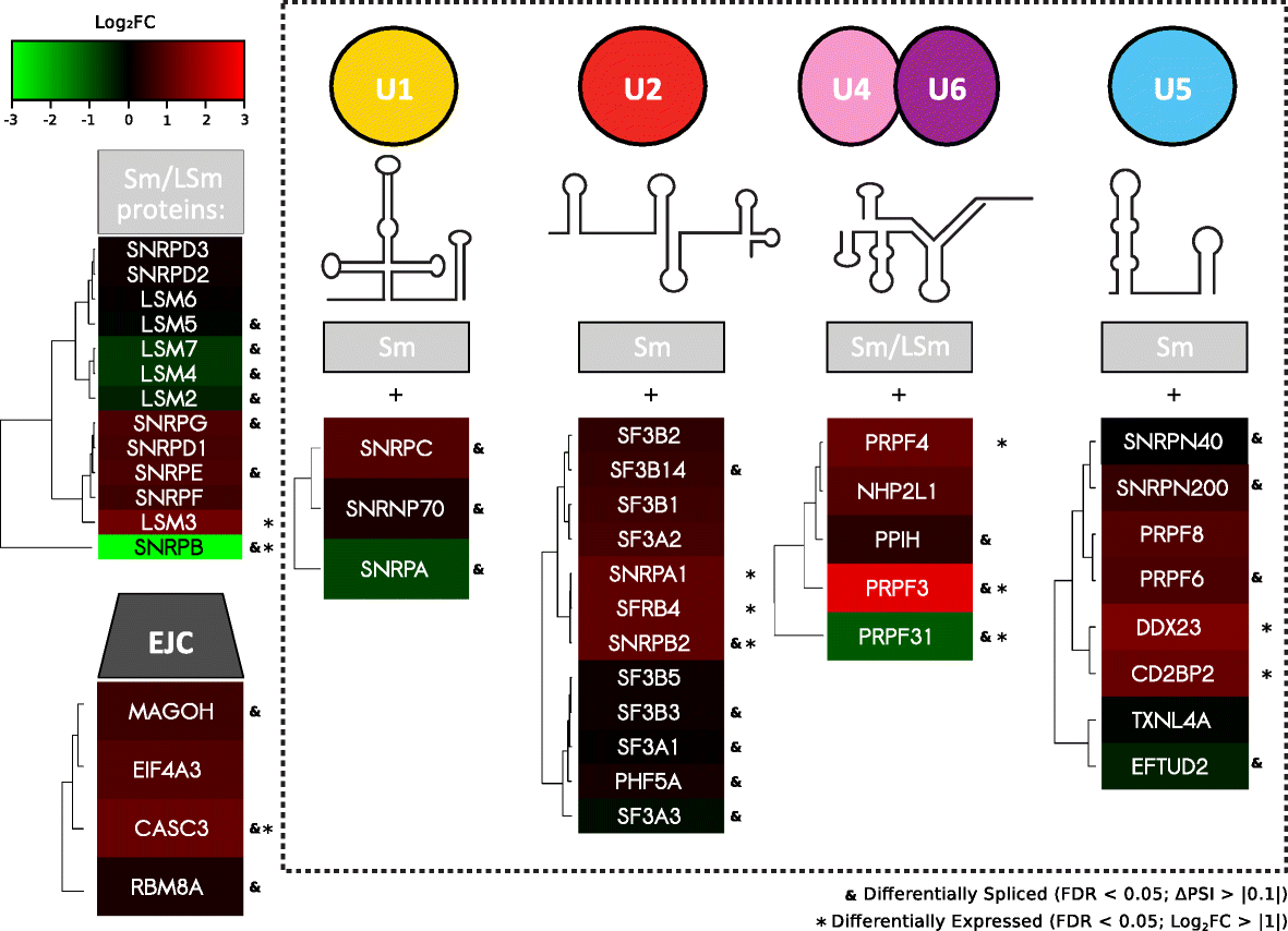 Fig. 5