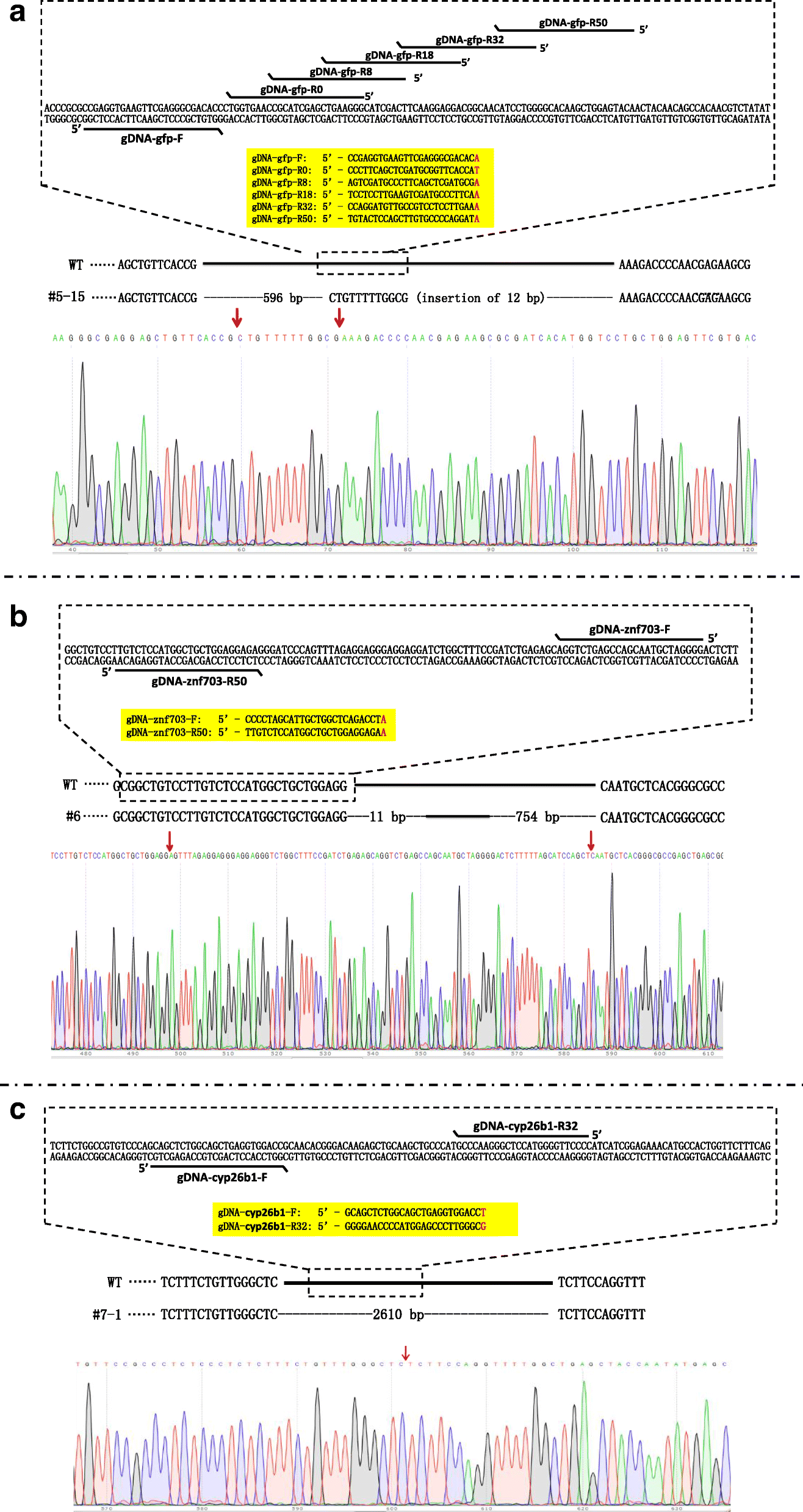 Fig. 7