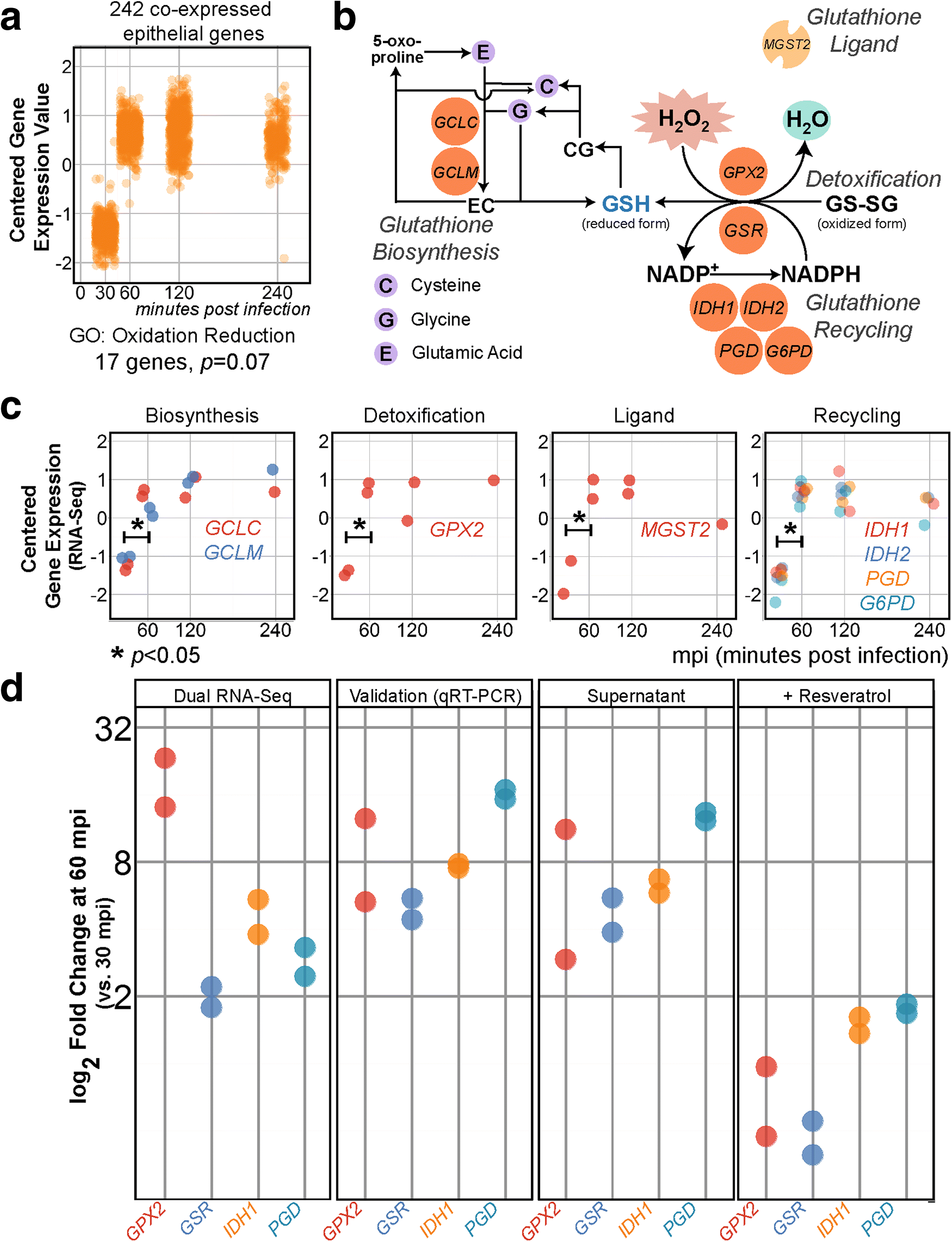 Fig. 4