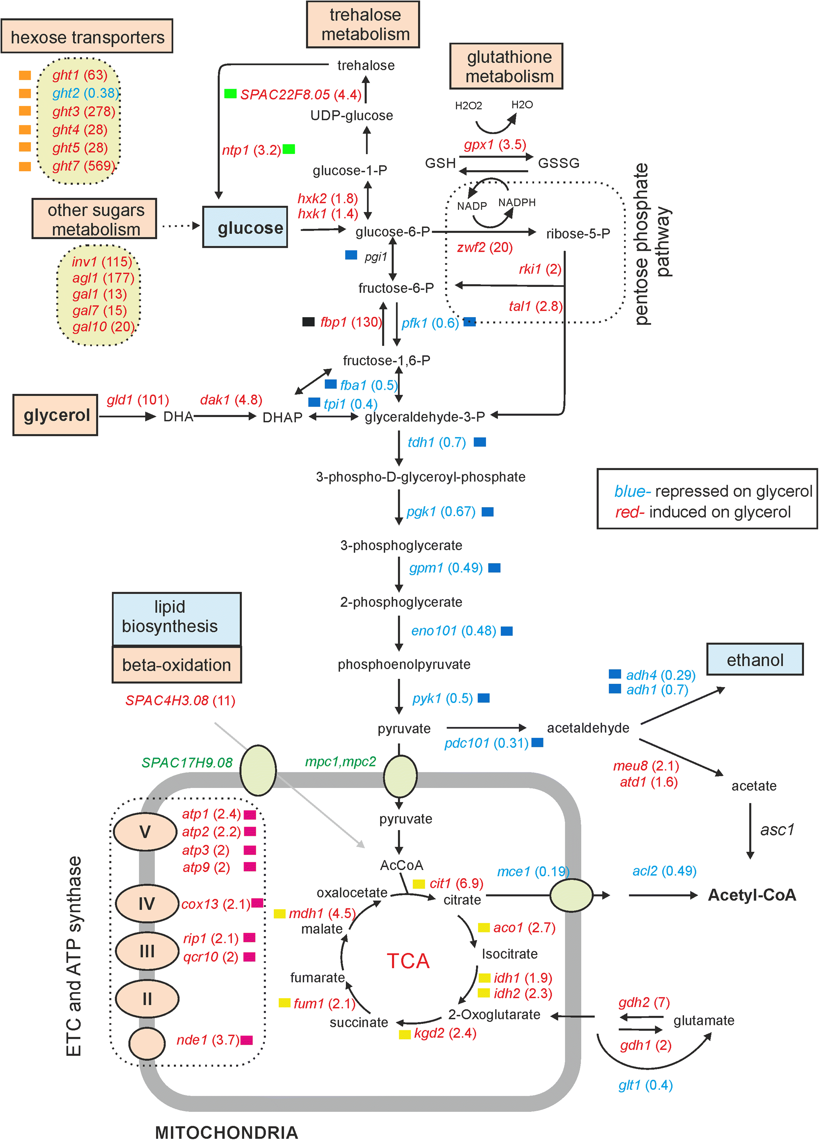 Fig. 4