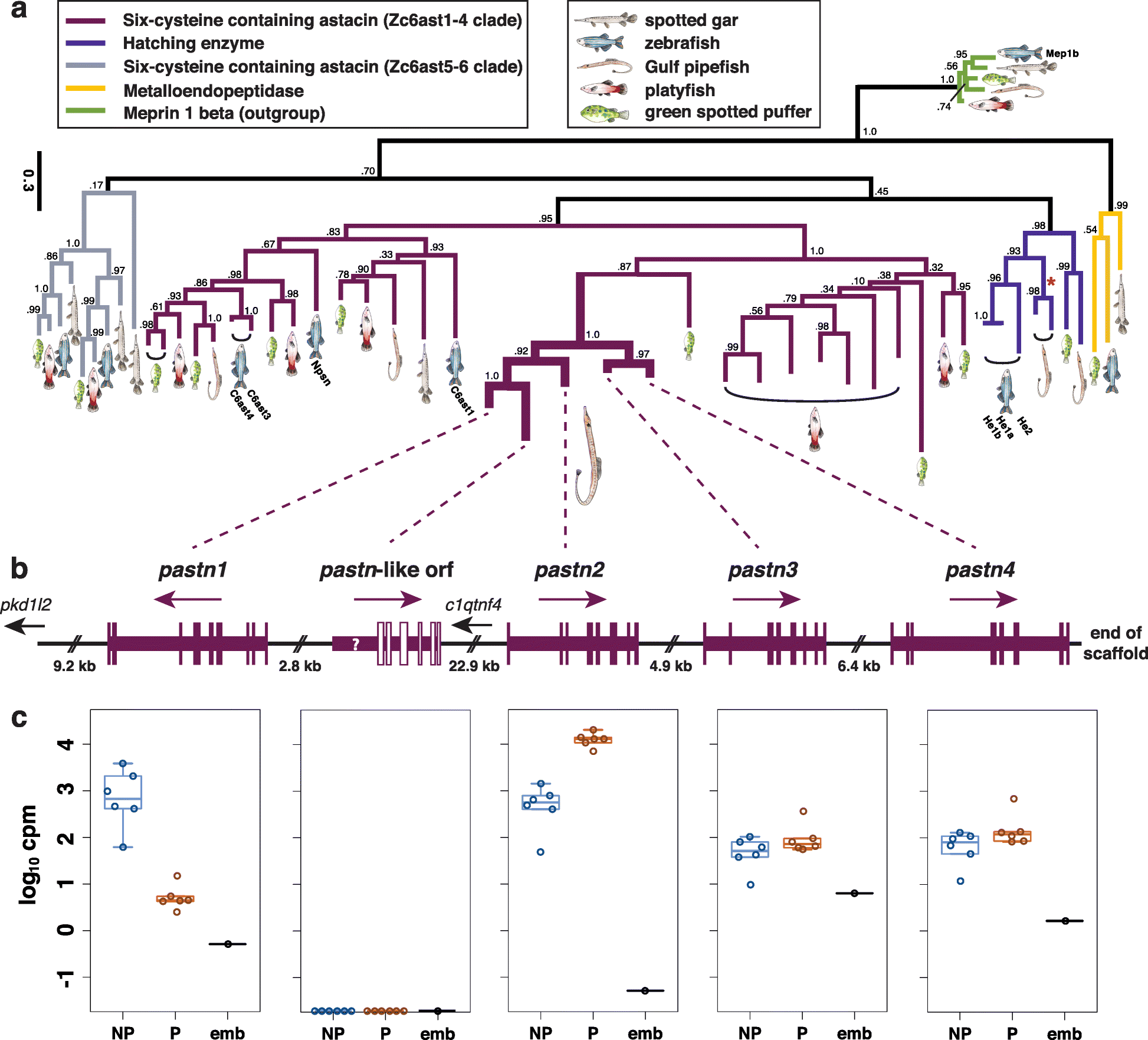 Fig. 7