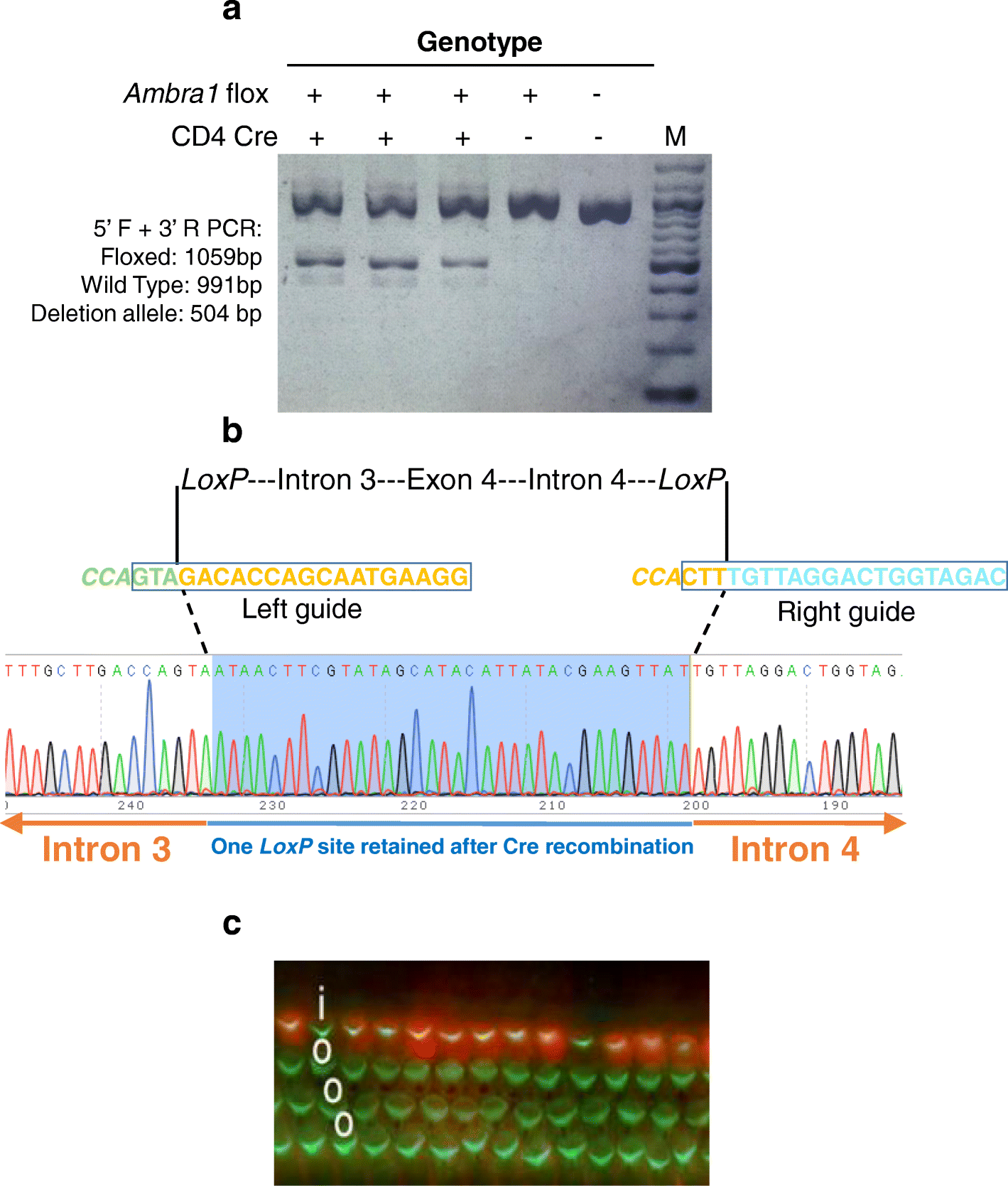 Fig. 5