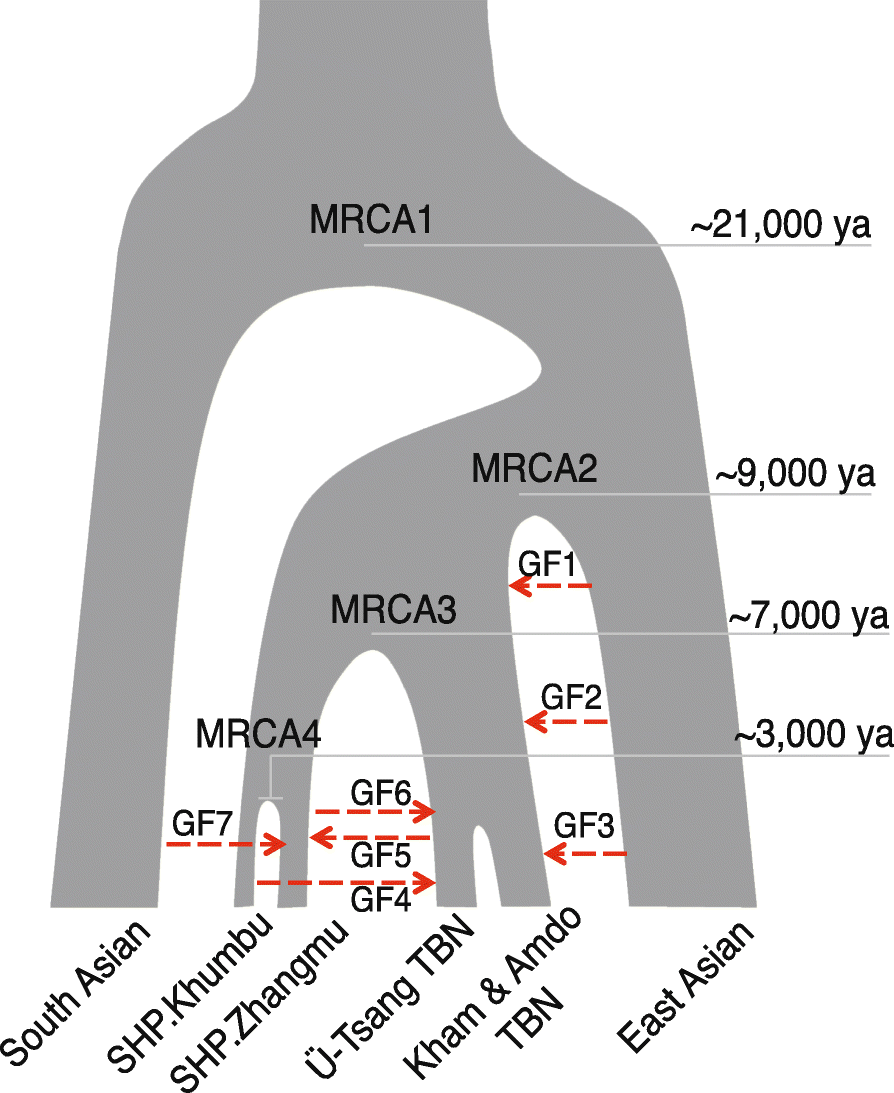 Fig. 6