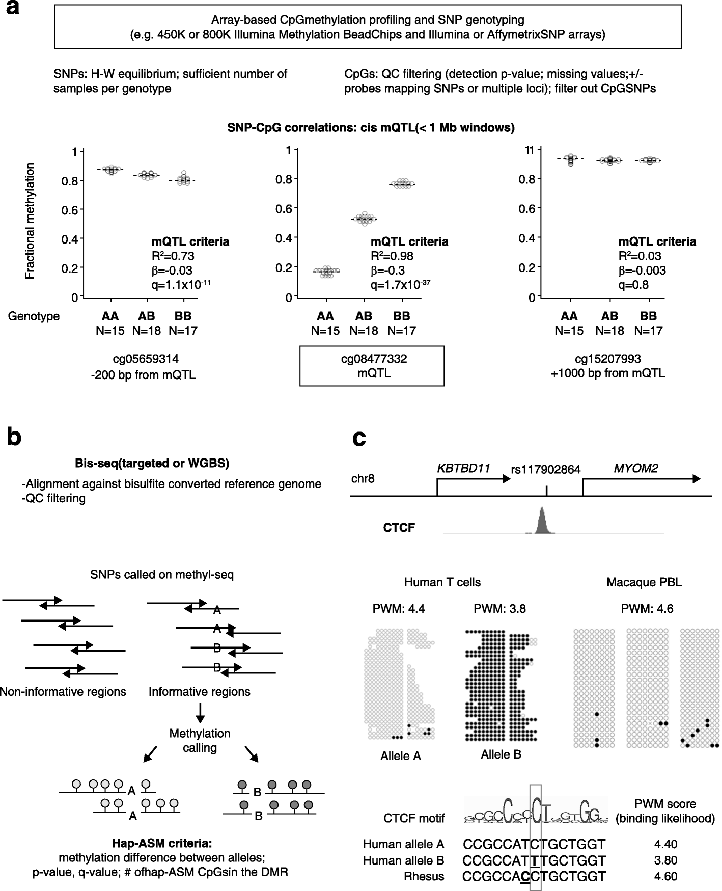 genetic epigenetic interactions in