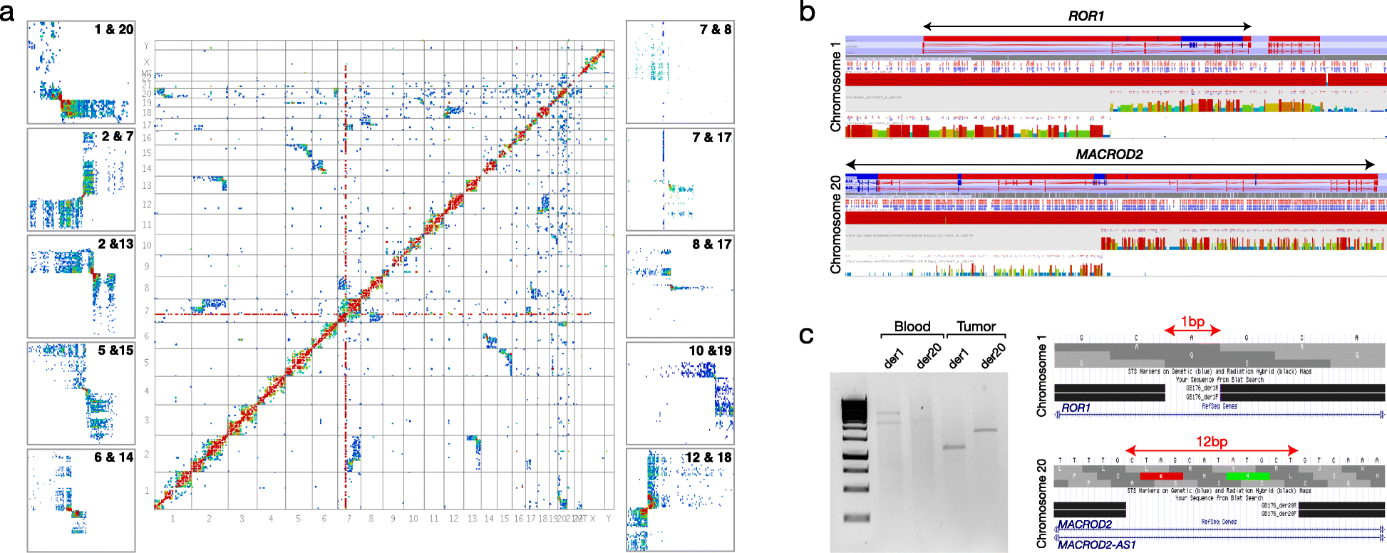 Fig. 3