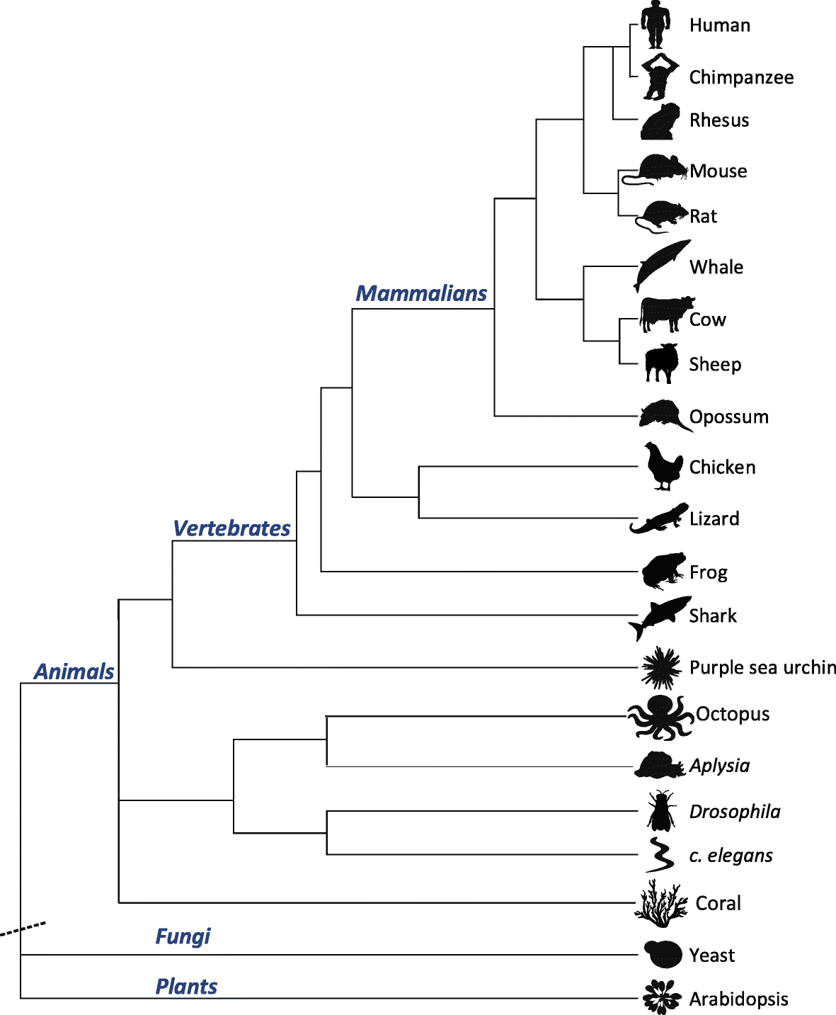 Fig. 2