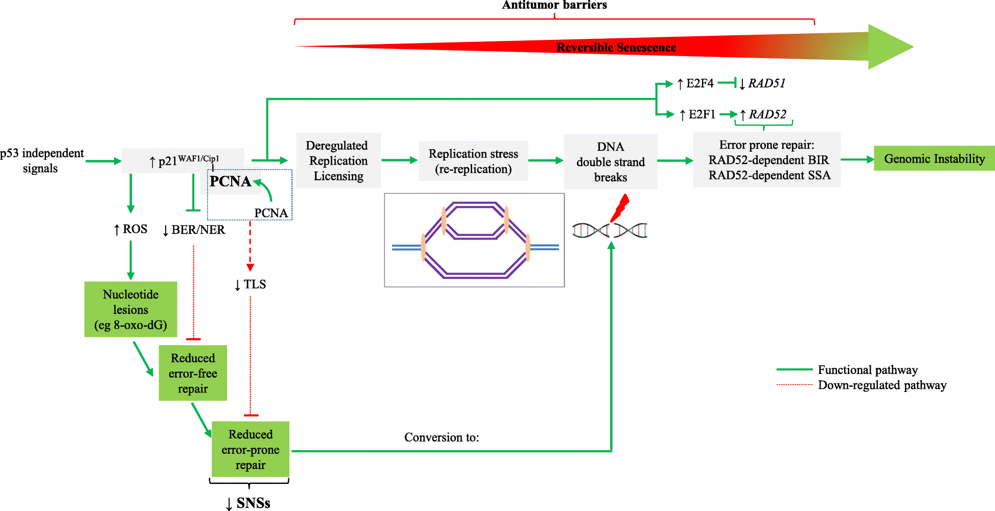 Fig. 8