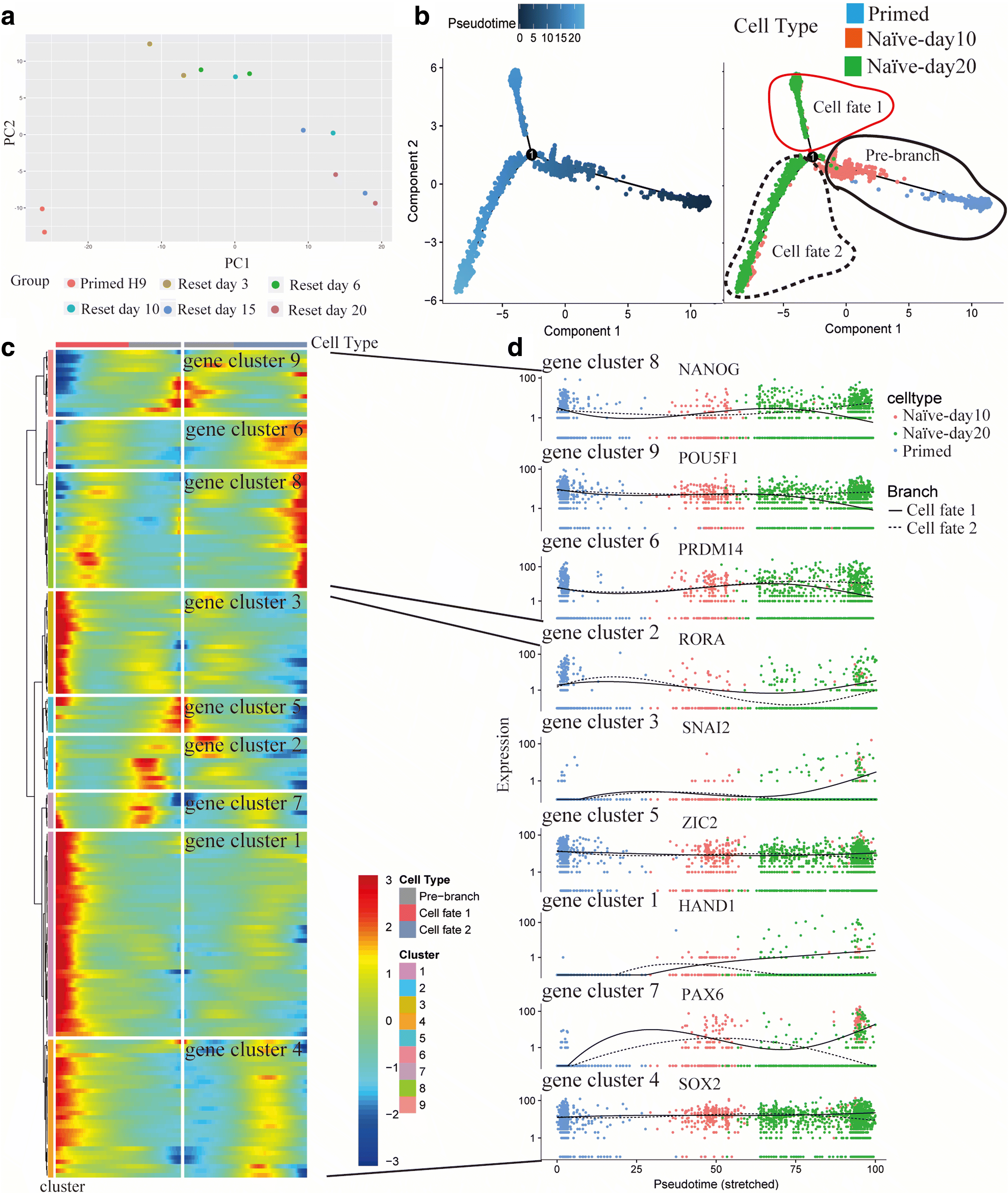 Fig. 6