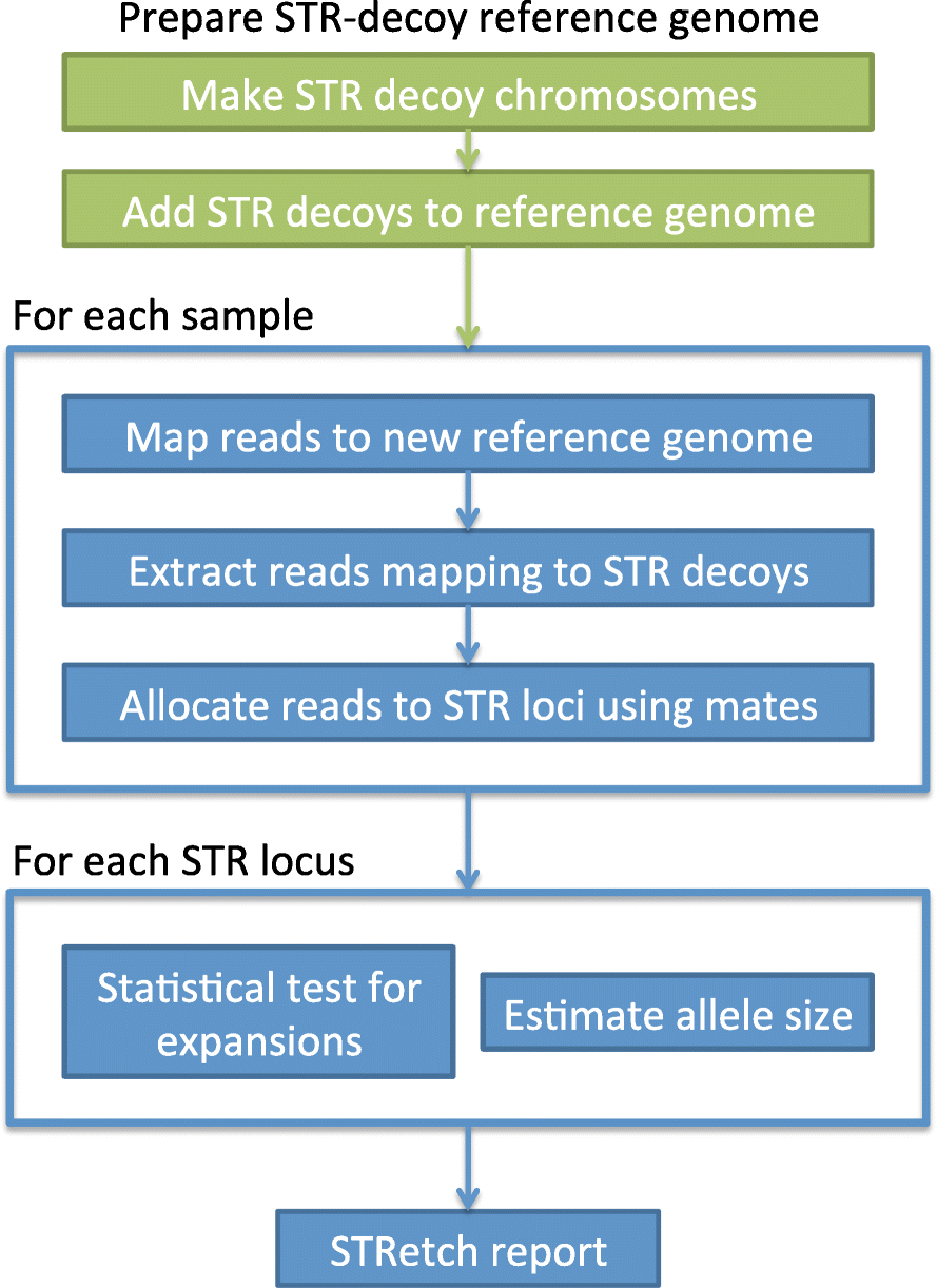 stretch detecting and discovering pathogenic short tandem repeat