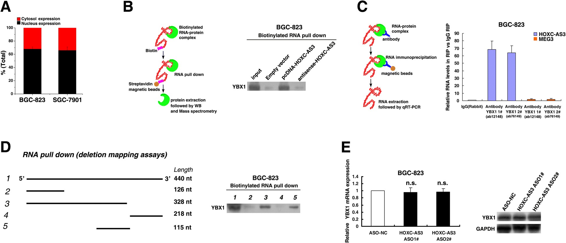 Fig. 5